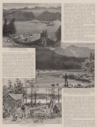 ニューファンドランドの農業とスポーツ